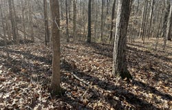 2311 Pocahontas Cove, Hernando, MS 38632