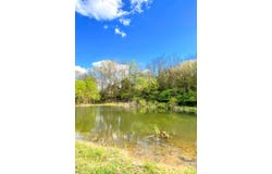 3590 Alexander Road, Piner, KY 41063