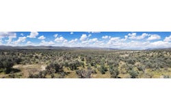 Bitterroot St / Franklin Ave, Elko, NV 89801