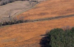 Cr 3122, Vaiden, MS 39176