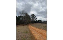 1100 Freeny Rd, Carthage, MS 39051