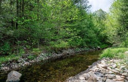 425 Dingle Rd, Worthington, MA 01098