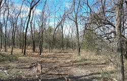 Tracts 1 & 3 Spring Valley Road, Louisburg, KS 66053