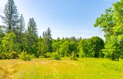 6281 Bear Creek Road, Garden Valley, CA 95633