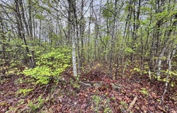 60268 Red Rock Lane, Crawford, TN 38554