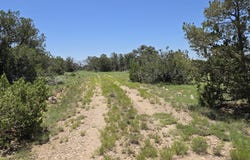 Swayback Trail lot: 16, Corona, NM 88318