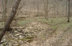 1551 Santa Fe Road, Brooksville, KY 41004