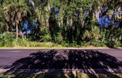 493 Hammock Lane, Ormond Beach, FL 32174
