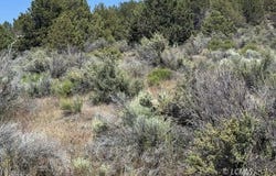 Medicine Mountain Drive, Beatty, OR 97621