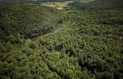TBD STRIBLING SPRINGS RD, MOUNT SOLON, VA 22843