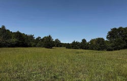TBD Lynda Lane, Oden, AR 71961
