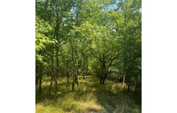 Black Land Road, Haworth, OK 74740