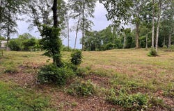 Lot 4 Cherrywood Drive, Guntersville, AL 35976