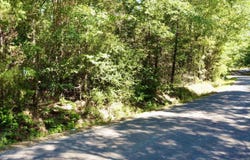 1435 Red Maple Rd, Big Sandy, TX 75755