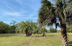 23206 NW 102ND AVENUE, ALACHUA, FL 32615