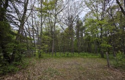 7470 Becker Road, Manistee, MI 49660