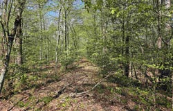 Shawmut Road, Murfreesboro, AR 71958