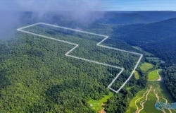 210 Acres County Road 604, Hollytree, AL 35751
