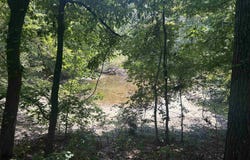Cr 325, Pleasant Hope, AR 72396