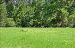 Tbd St Delight (Tracts 11 & 12) Road, Paige, TX 78659