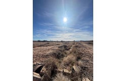 Bravo Farms, La Joya, NM 87028