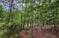 Willow Lane lot: 1, Alexander City, AL 35010