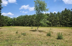 6389 S Woods Trail Road, Custer, MI 49405
