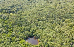 38925 Stone Piler Avenue, Edwards, MO 65326