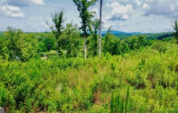 16 Mystic, Ellijay, GA 30540