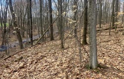 74 Jedware Circle lot: 10-2, Highgate, VT 05459