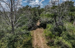 1126 Abel Road, New Ulm, TX 78950
