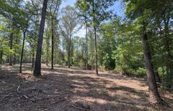 0 Leckie Rd., Eros, LA 71238