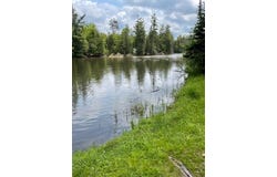 22551 THEINER Trail, Hillman, MI 49746