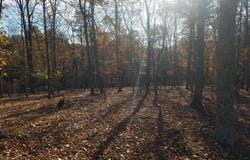CRYSTAL VALLEY Drive, ROMNEY, WV 26757