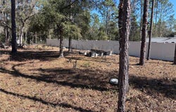 NE 3RD PLACE, WILLISTON, FL 32696