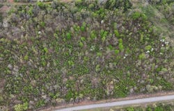 17.94 acre County Road 2228, Hartman, AR 72840