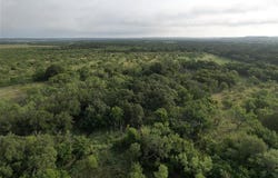 100+- Acres cr 159, Ovalo, TX 79541
