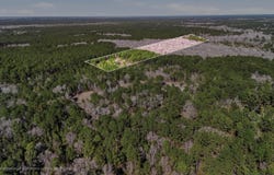 Gertie Lane, Cordesville, SC 29434