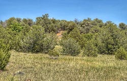Walsenburg, CO 81089