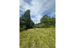 Moncove Lake Road, Gap Mills, WV 24941