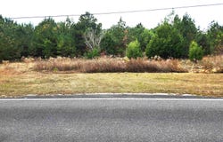 NW Freeman Road, Bristol, FL 32321