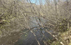Goodhall Road, Iron River, MI 49935