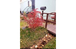 399 E Yaney St, Bishop, CA 93514