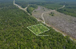 Tbd Lowcountry Highway, Yemassee, SC 29945