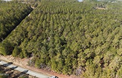 Sandy Point Road lot: 7, Sladesville, NC 27875