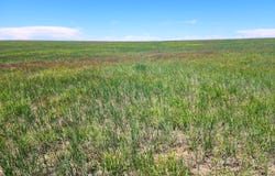 E  56th Ave, Deer Trail, CO 80105