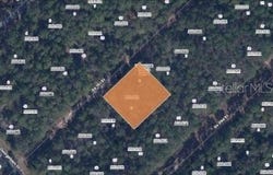 209 SE PARADISE LAKES, GEORGETOWN, FL 32139