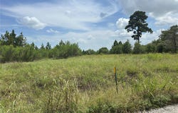 141 Tall Forest DR, Bastrop, TX 78602