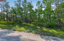 3 Guava Pass, Ocklawaha, FL 32179