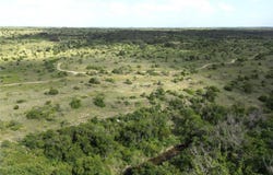 Tbd FM 2486 & CR 620, Hamilton, TX 76531